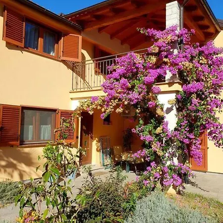 Apartman Uta Cocaletto * Rovinj